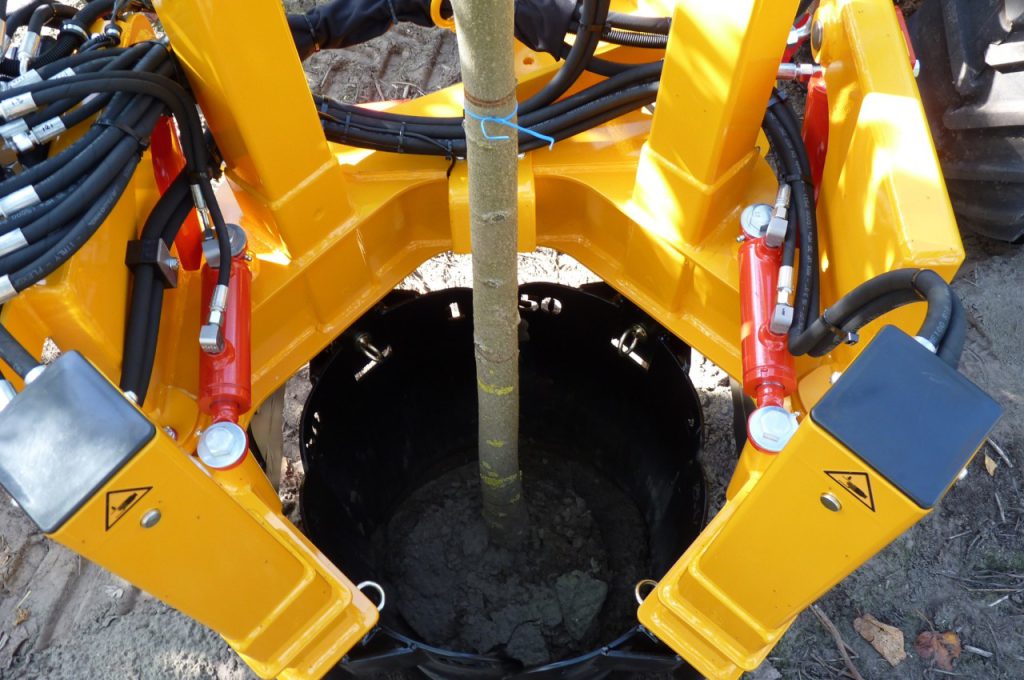 inside tree spade