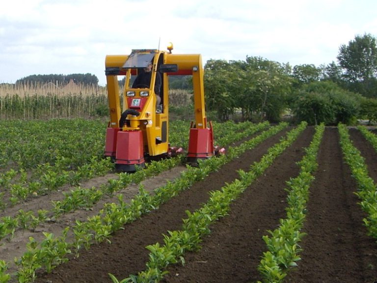 Cultivator 3 rows - Multitrike high clearance tractor