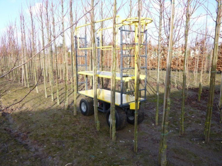 IDM pruning platform