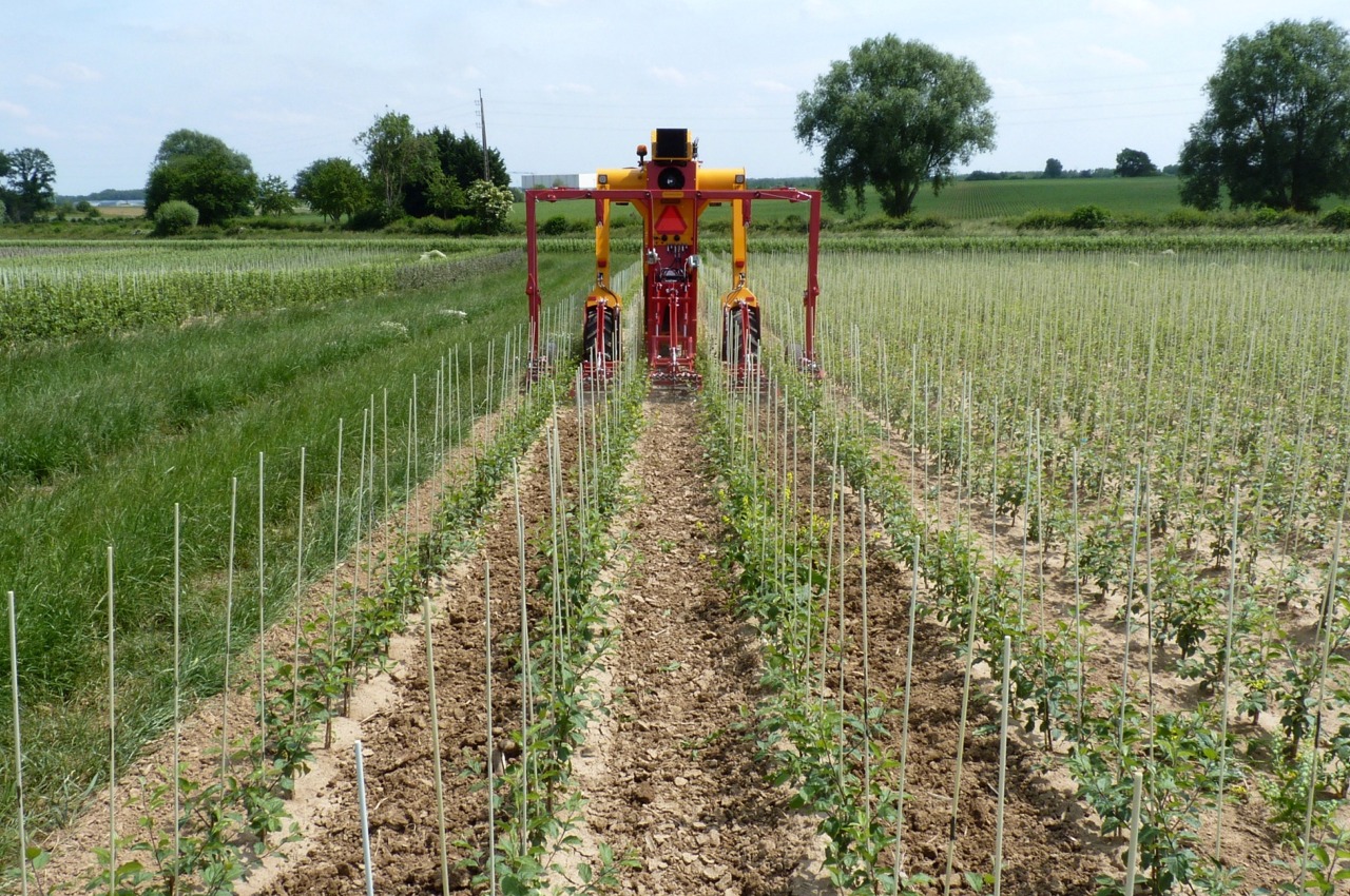 SF hoe frame cultivator mounted on a Multitrike high clearance tractor
