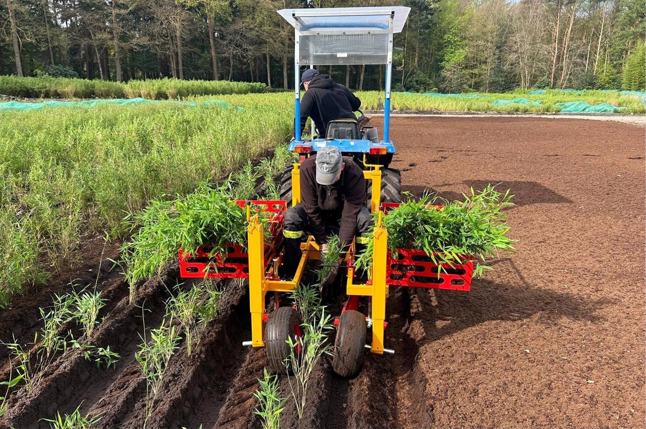 Compact plant machine, the PL-10 - Damcon tree nursery equipment