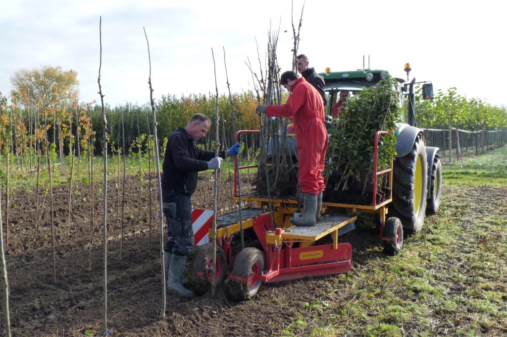Damcon Tree planting machines PL-30 and PL-40 - Damcon tree nursery equipment