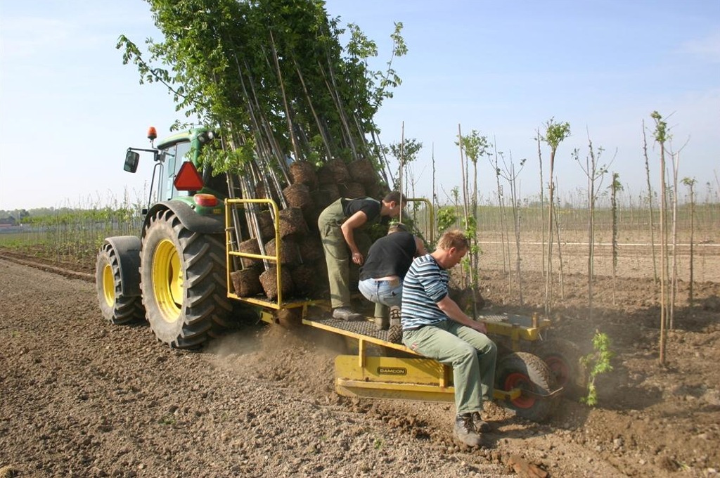 Tree planting machines PL-30 and PL-40 - Damcon tree nursery equipment
