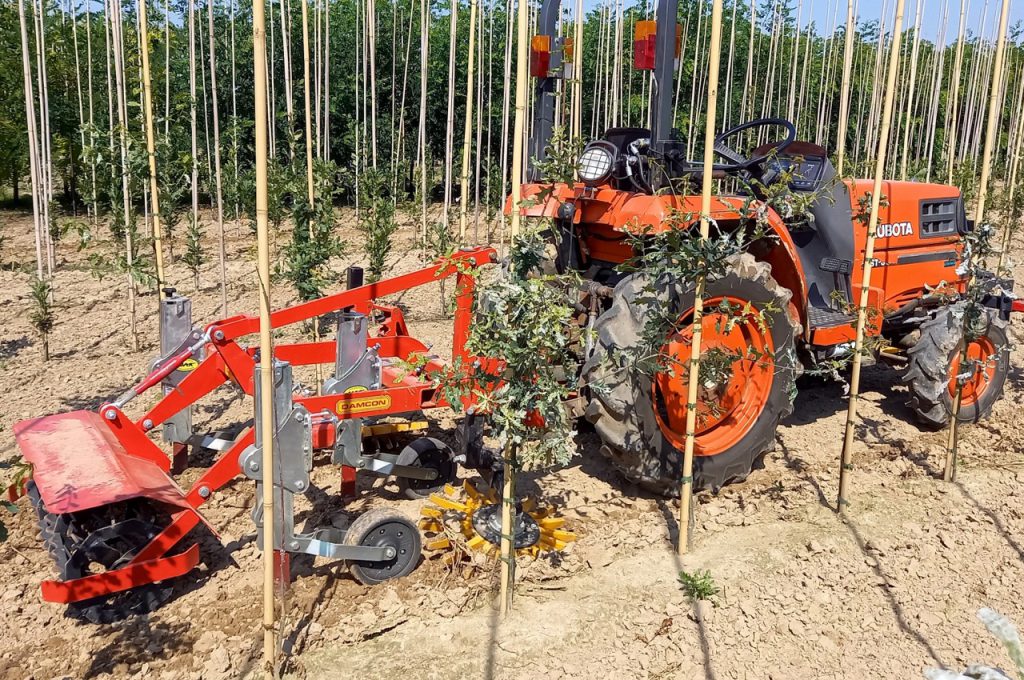 Damcon Damcon hoeing machines - Damcon tree nursery equipment