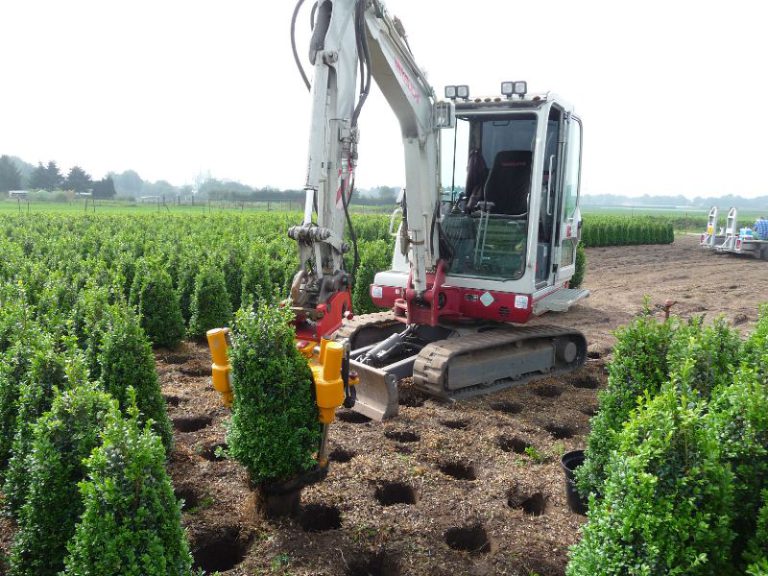 Tree Spade Service Tree spades - Damcon tree nursery equipment