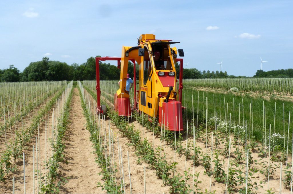 Portal tractor for Fruit Trees - Damcon tree nursery equipment