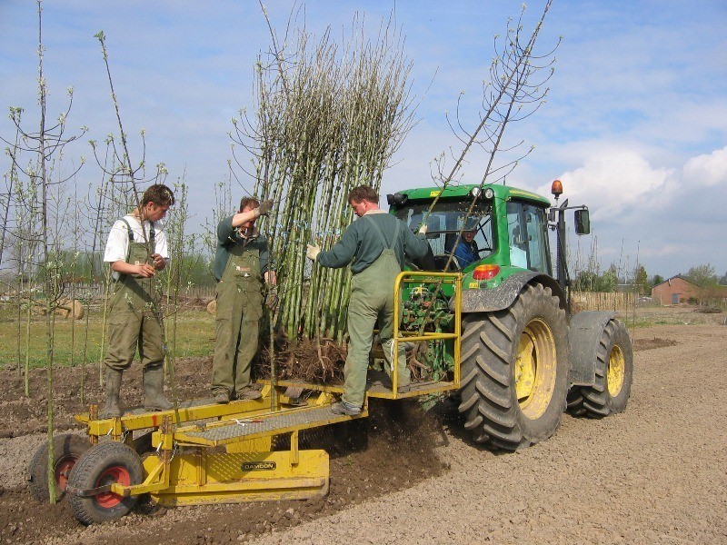 Tree planting machines PL-30 and PL-40 - Damcon tree nursery equipment