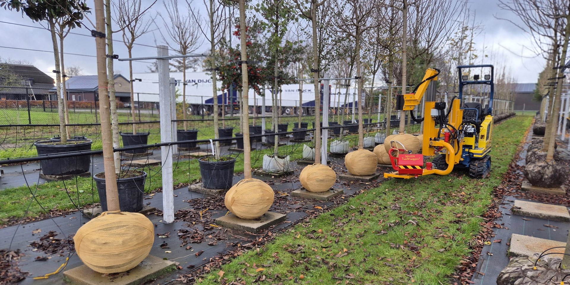 Damcon Custom-made, innovative tree nursery machines - Damcon