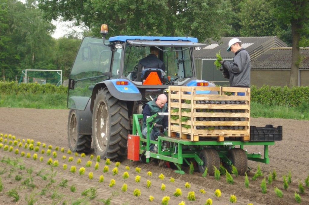 3-row Basrijs disc planter