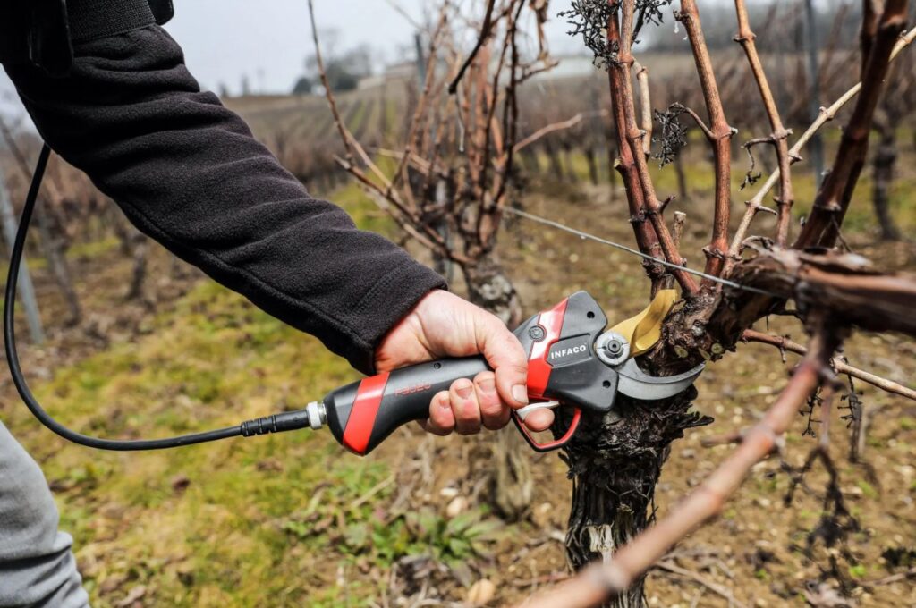 Electric pruning shears Electrocoup F3020