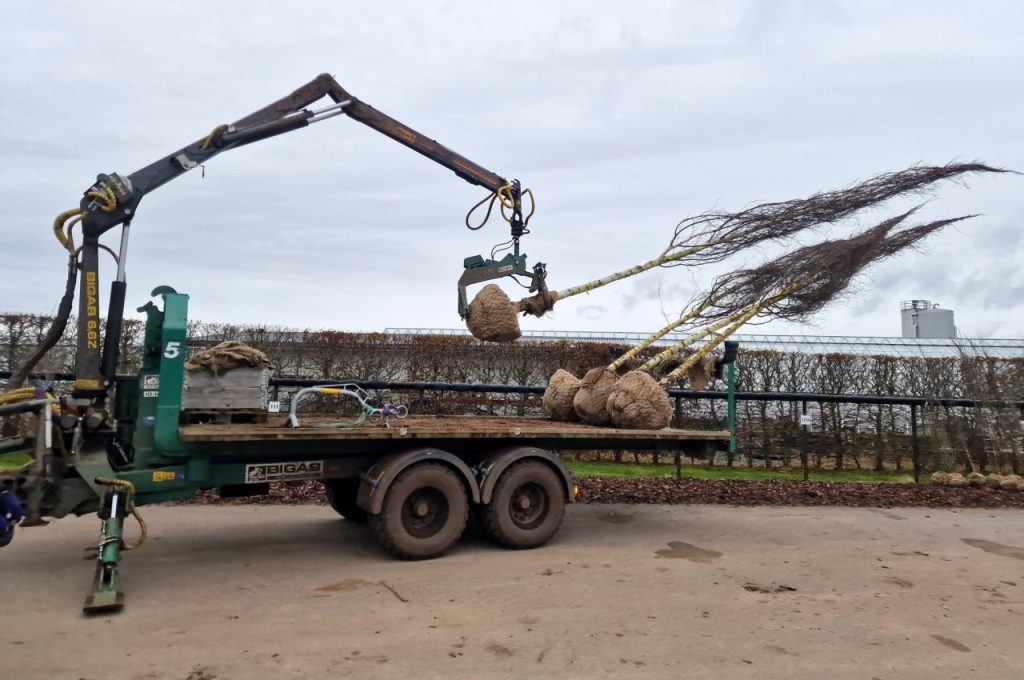 Damcon hydraulic rootball loading hook HK-800 R