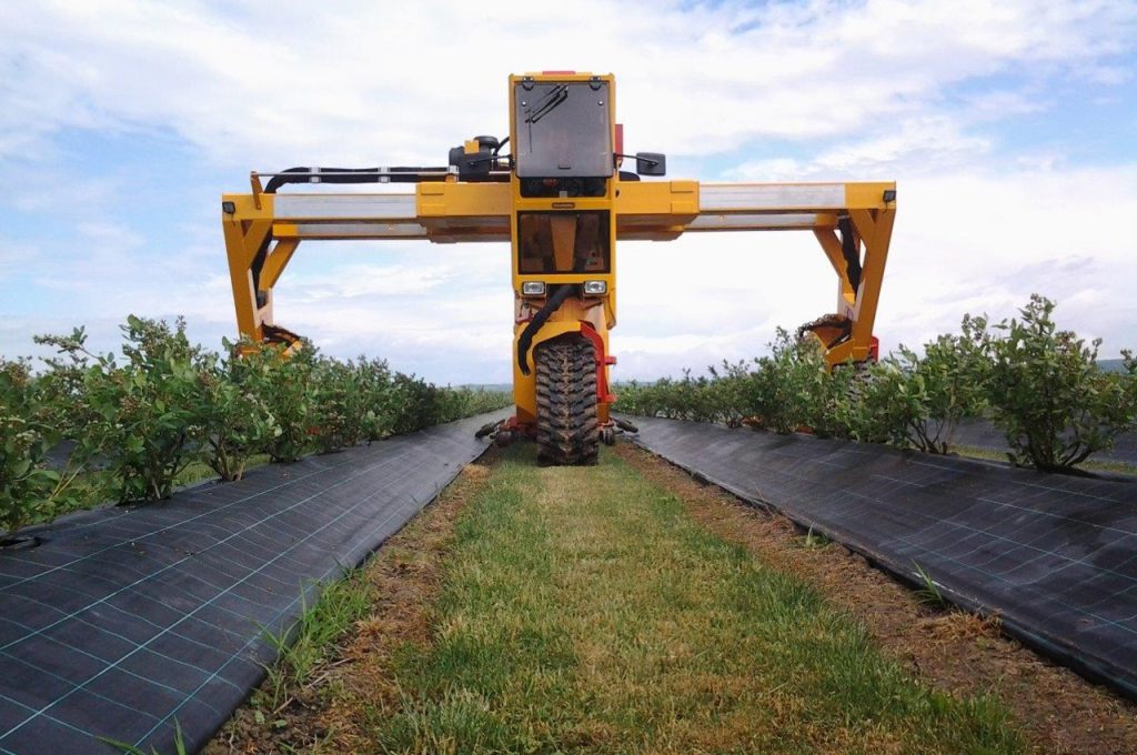 HWD-3150 Multitrike high clearance tractor for blueberries