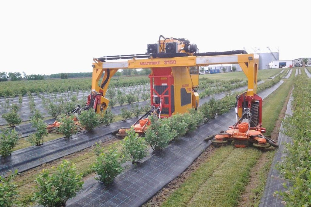 HWD-3150 Multitrike high clearance tractor for blueberries