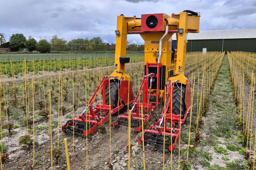 HWD-360 with 3x SF 75 hoeing machines with torsion weeders