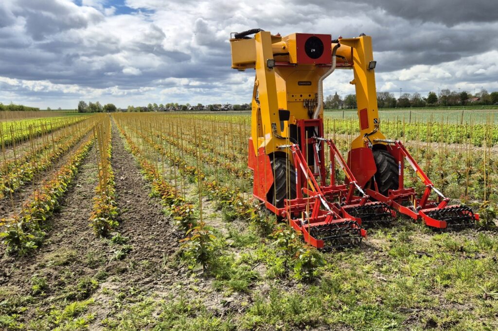 HWD-360 with 3x SF 75 hoeing machines with torsion weeders