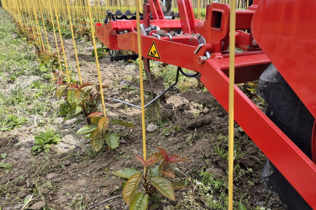 HWD-360 with 3x SF 75 hoeing machines with torsion weeders