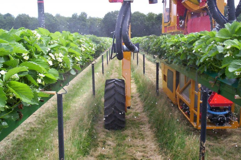 HWD-395 - Multitrike high clearance tractor for strawberries