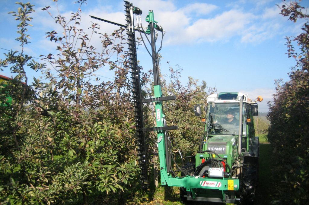 Horizontal and vertical pruning