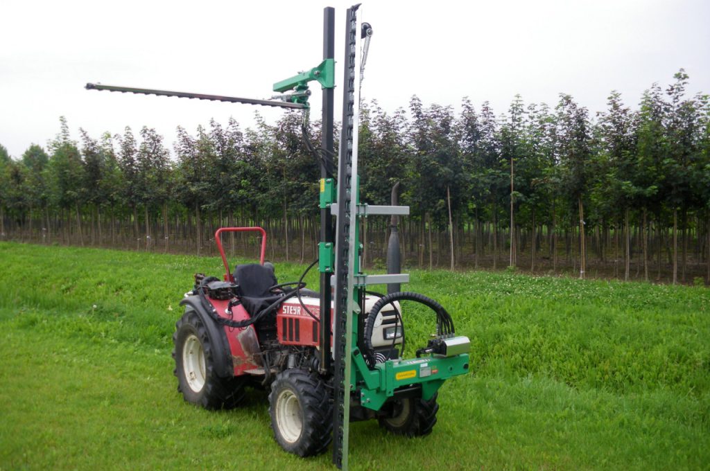 Horizontal and vertical pruning
