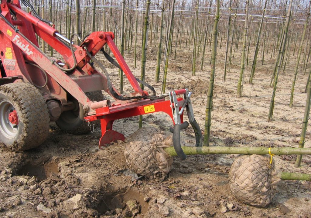 Damcon hydraulic rootball clamp HK-250 S