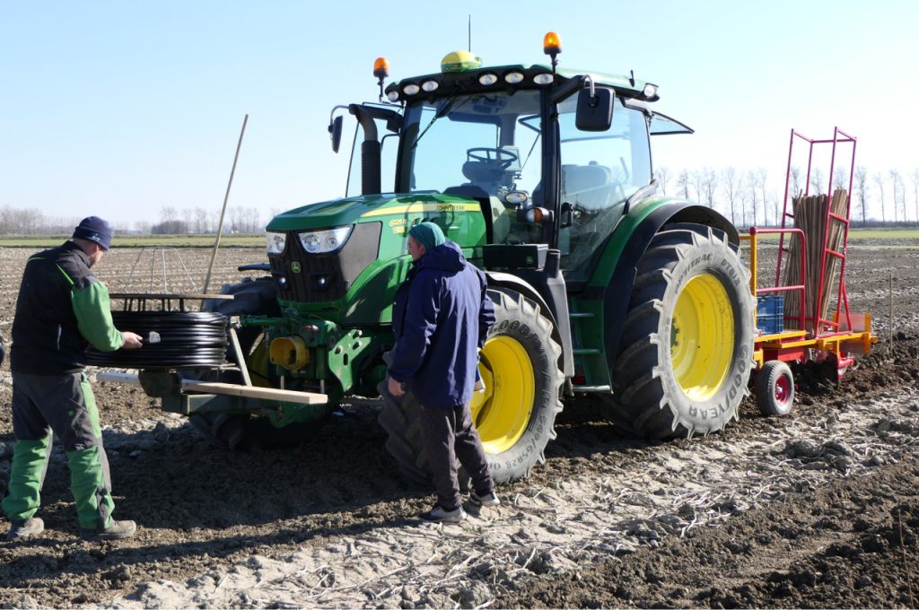 Laying irrigation hose during planting