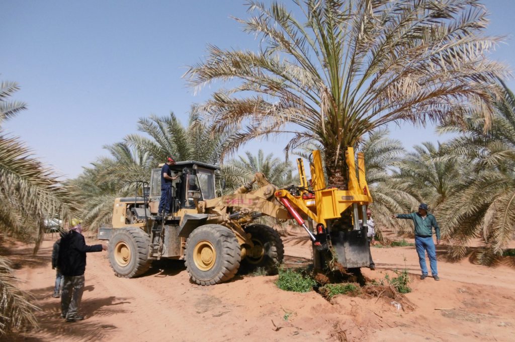 KLR-1400 ST tree spade