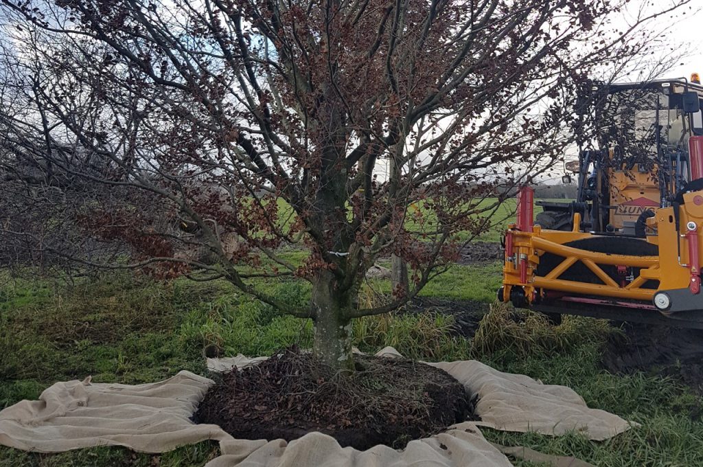 Rootball KLR-1900 lowered model tree transplanter