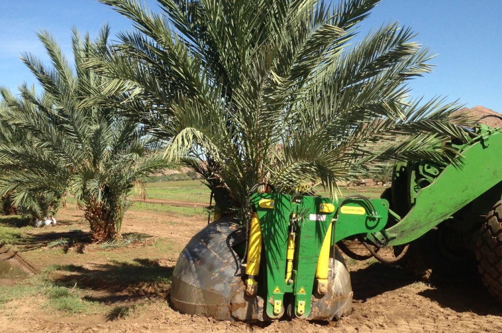 KLR-2500 2M tree transplanter