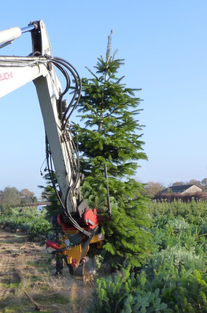 KLR-301M ST tree spade