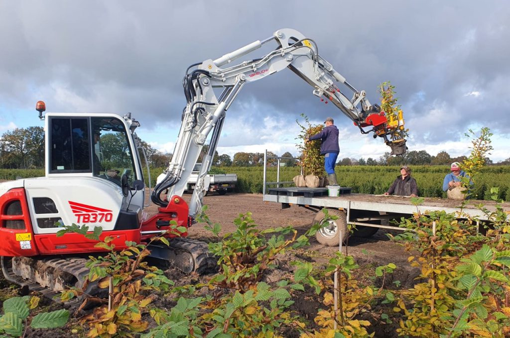 KLR-300 ST tree spade