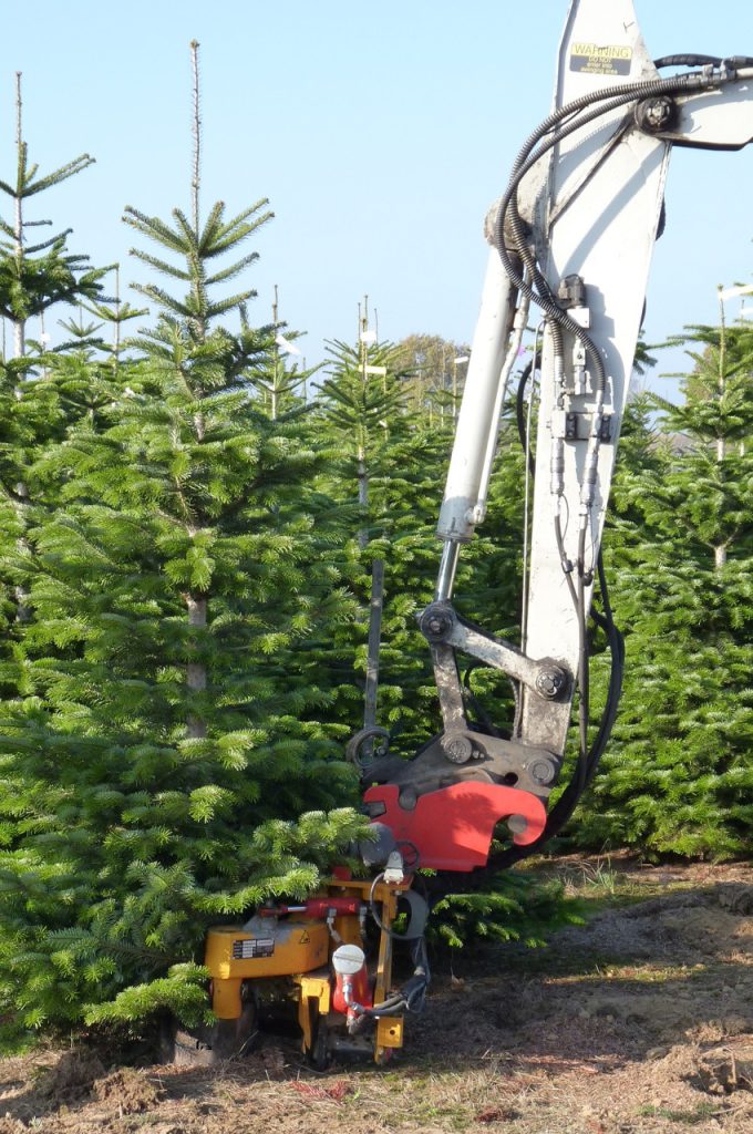 KLR-301M ST tree spade