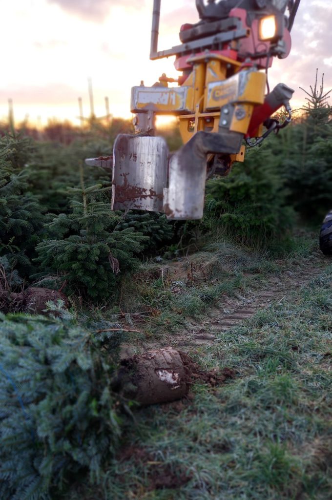 KLR-301M ST tree spade