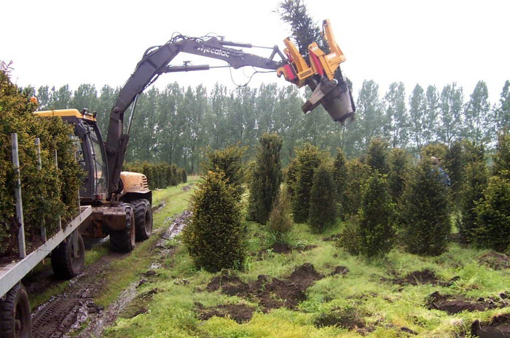 KLR-850 ST tree spade