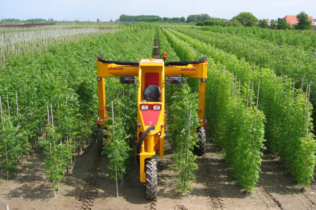 Mechanical weed control - Multitrike high clearance tractor for young avenue trees