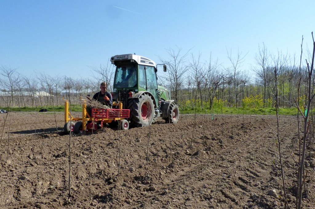 PL-10 tree planting machine 1-row