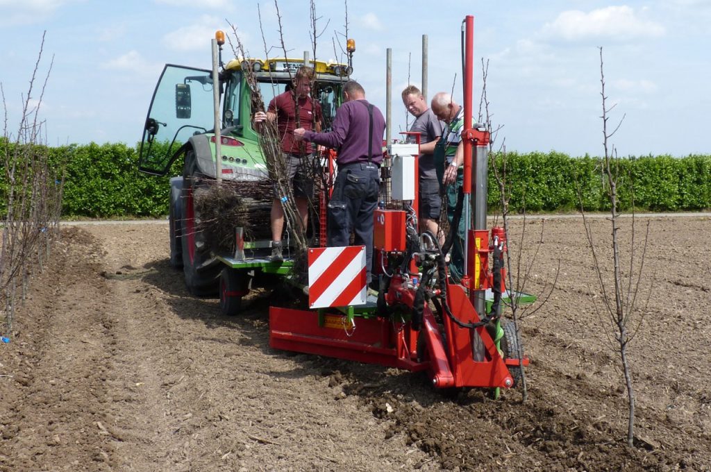 PL-40 F3 fruit tree plant machine with cane driver