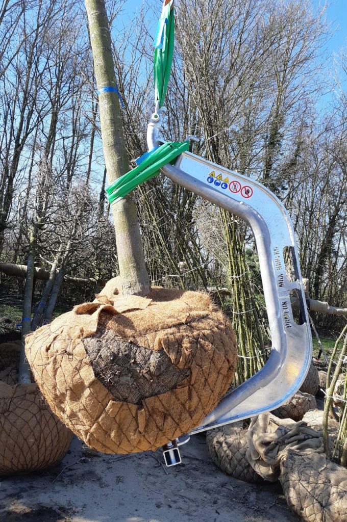 Rootball hook BLH-1000