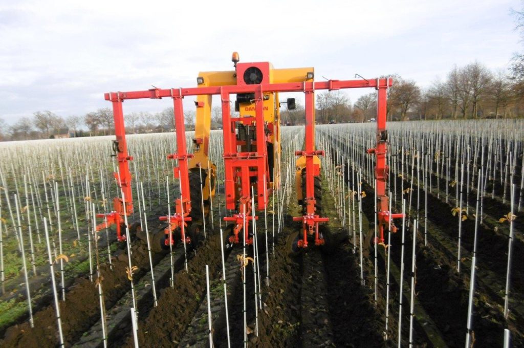 Filling the plant furrow - Multitrike high clearance tractor for fruit trees