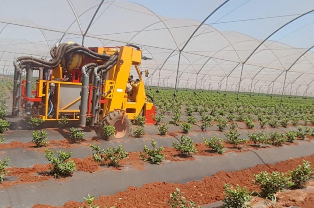 Blueberries under roof - Multitrike high clearance tractor for blueberries