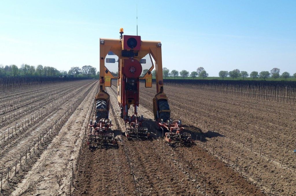 Cultivator - Multitrike high clearance tractor for fruit trees