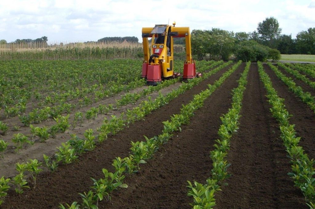 Cultivator 3 rows - Multitrike high clearance tractor for shrubs and conifers