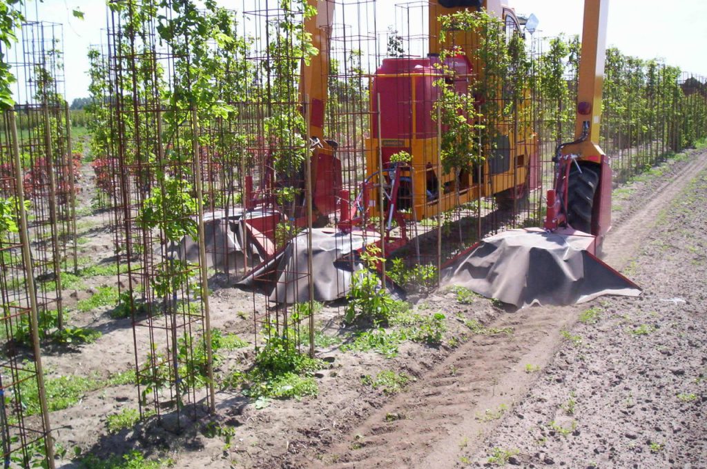 Crop guided weeds cap - Multitrike high clearance tractor for shrubs and conifers