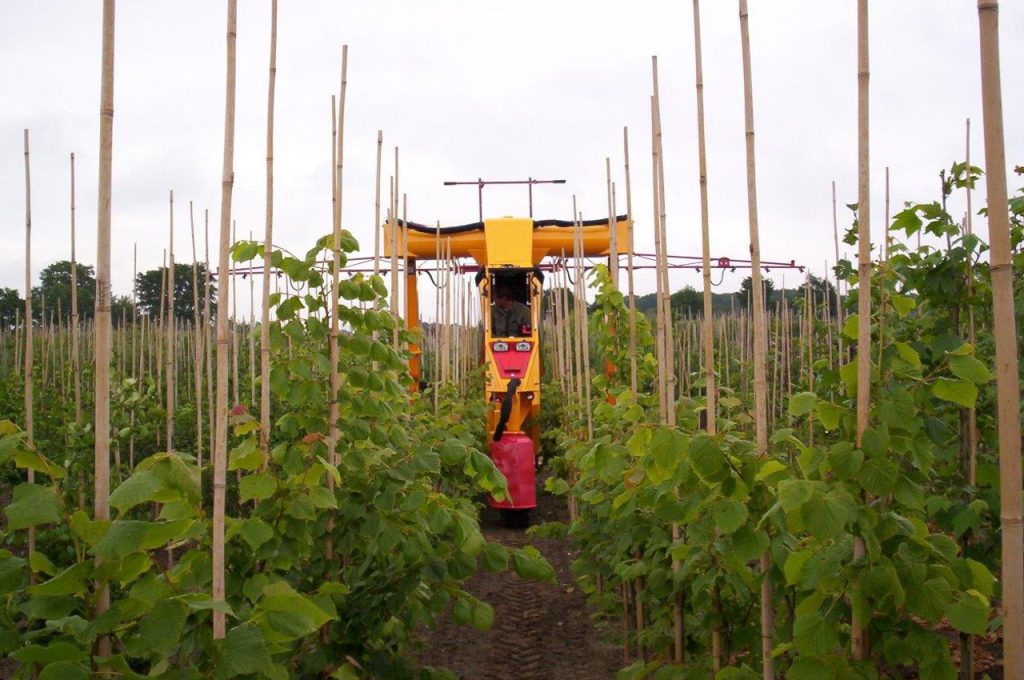 Horizontal spray boom - Multitrike high clearance tractor for young avenue trees