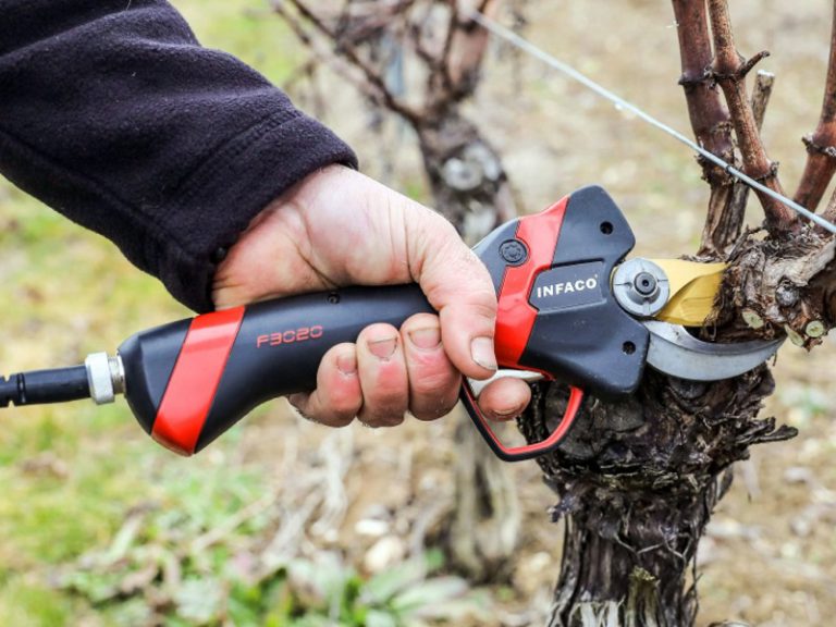 Electric Pruner Electrocoup F3020