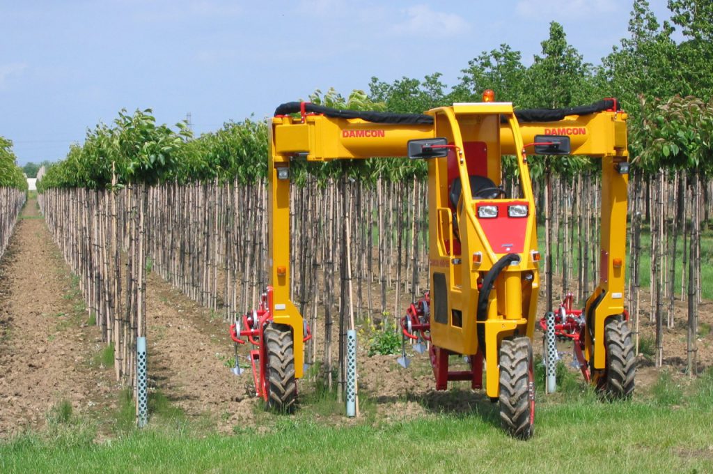Mechanical weed control - Multitrike high clearance tractor for young avenue trees