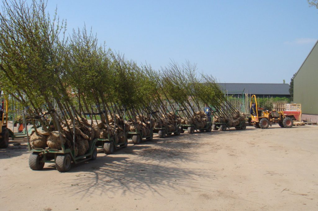 several trailers rear Selector