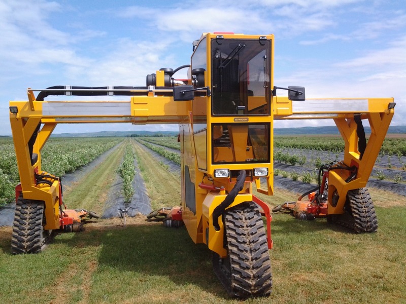 Multitrike high clearance tractor for blueberries