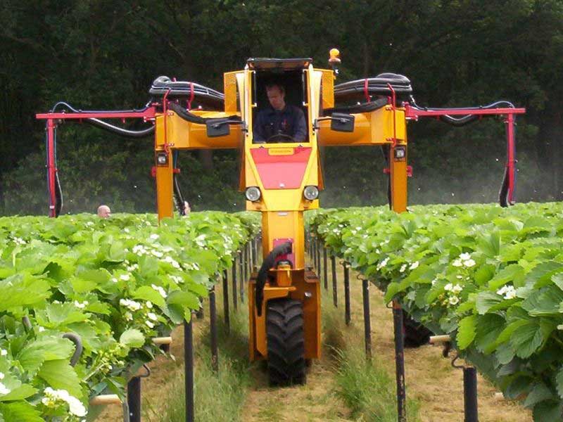 Multitrike high clearance tractor for strawberries