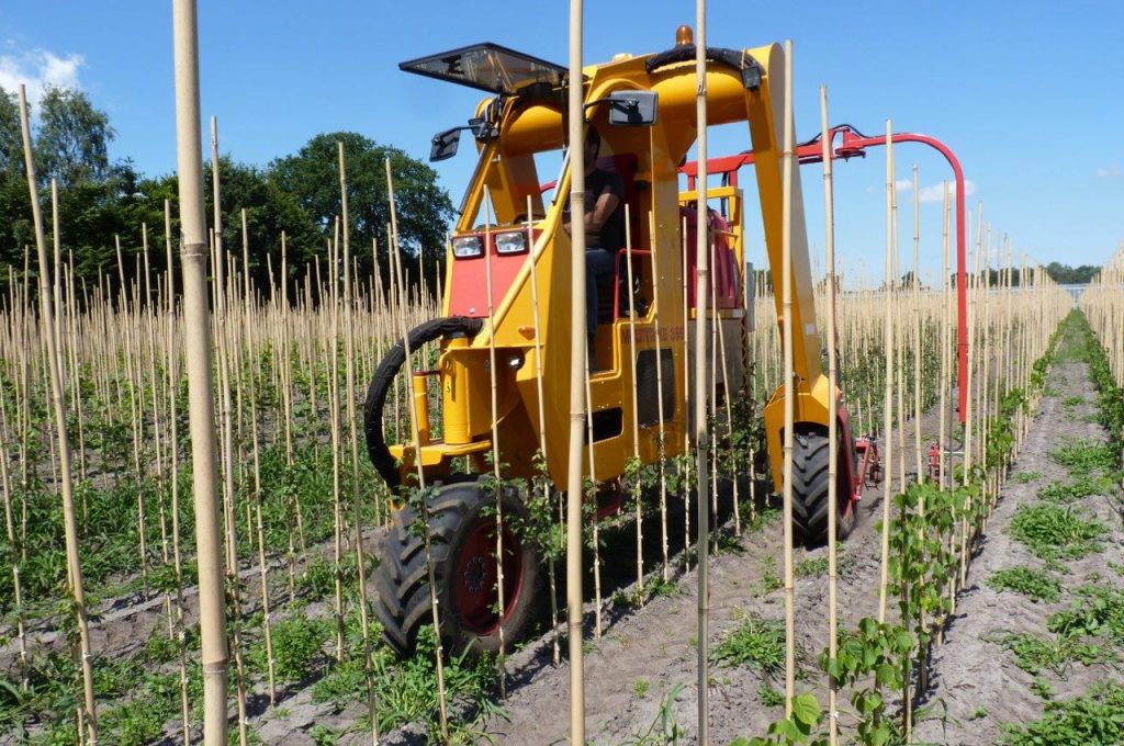 Weed control with LVS - Multitrike high clearance tractor for young avenue trees