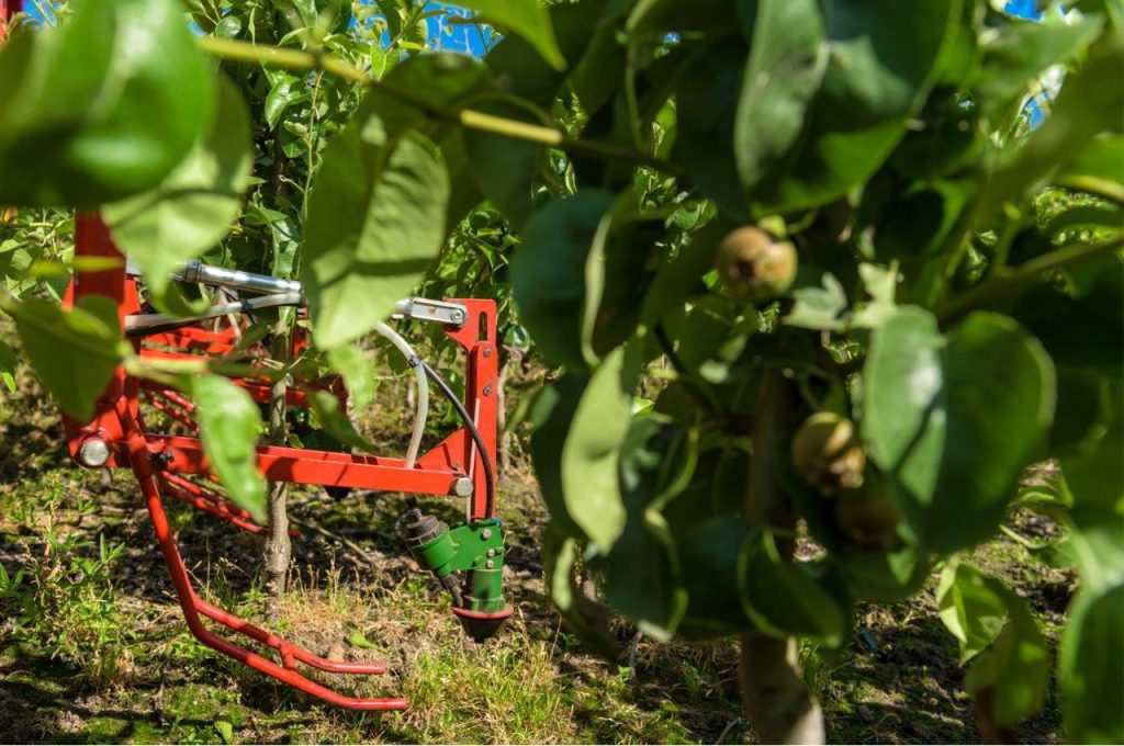 Weed control with LVS - Multitrike high clearance tractor for young avenue trees
